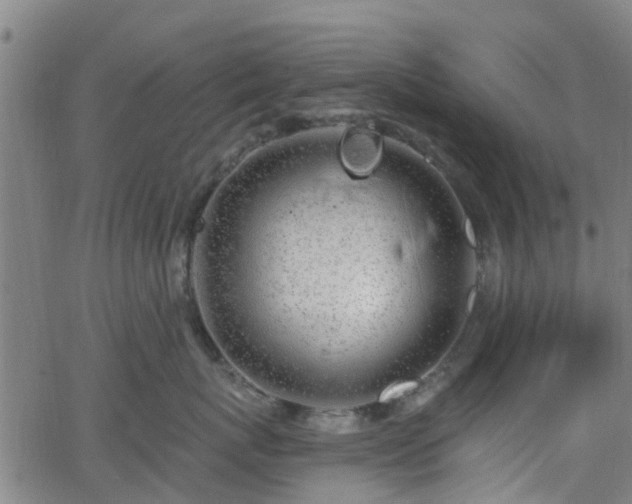 X0000062910767200601181219