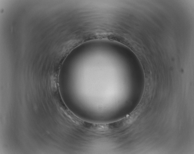 X0000062910768200601181219