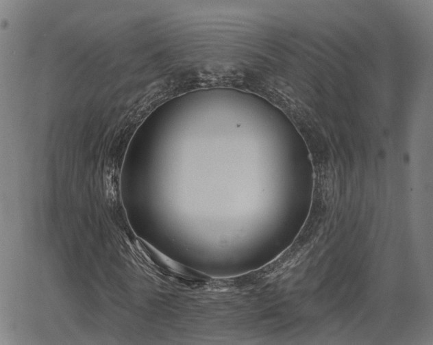 X0000062910770200601181218