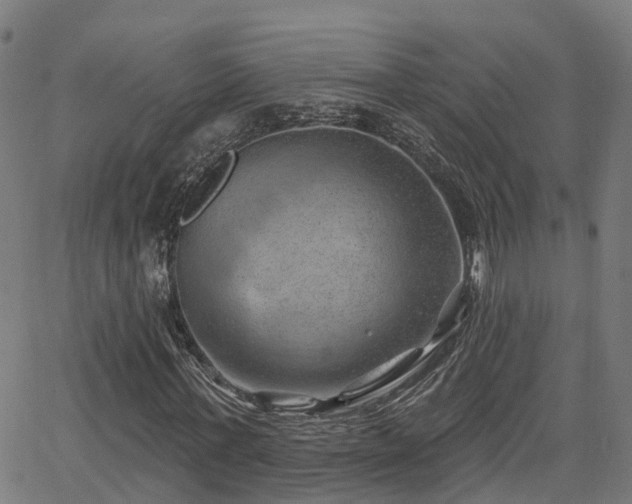 X0000062910771200601181218