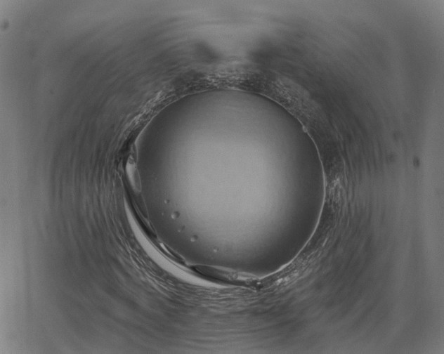 X0000062910772200601181218