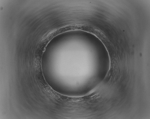 X0000062910773200601181218