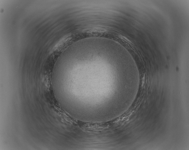 X0000062910774200601181218