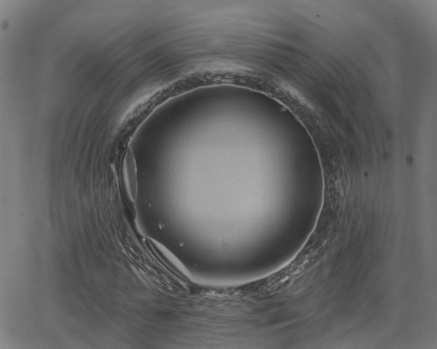 X0000062910775200601181218