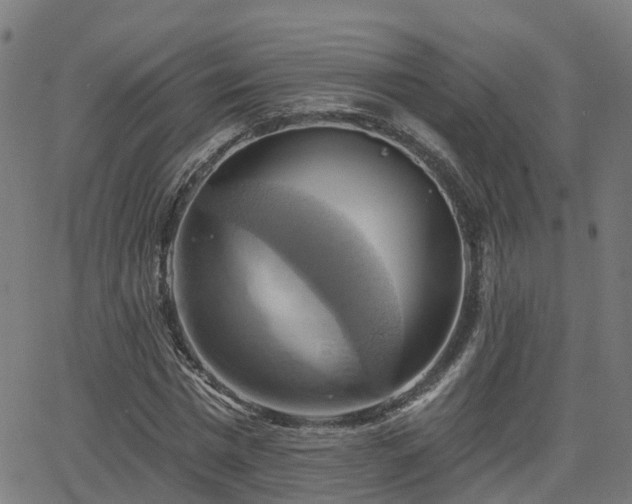 X0000062910777200601181218