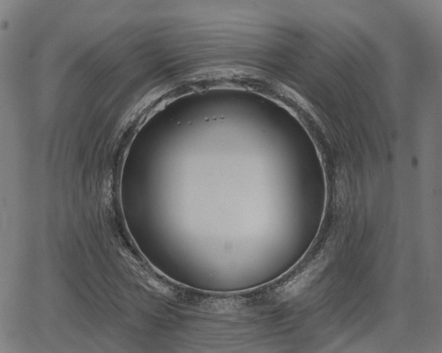 X0000062910778200601181218