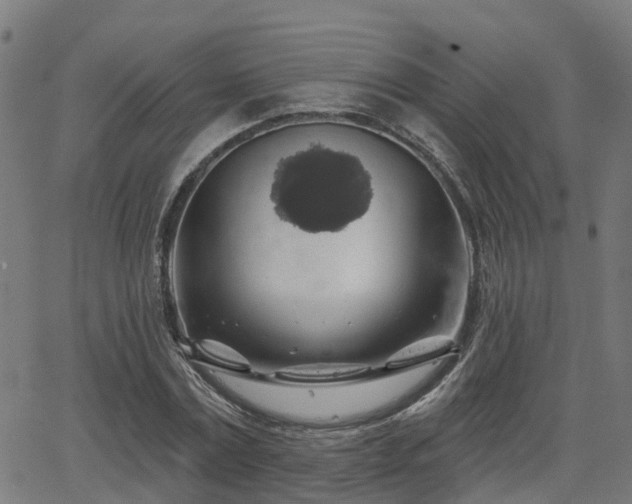 X0000062910779200601181218