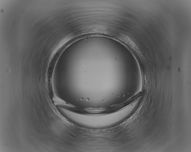 X0000062910780200601181218