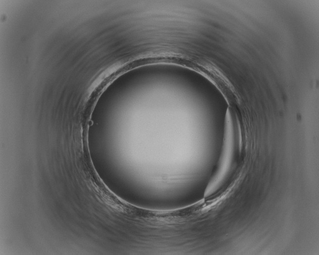 X0000062910781200601181218