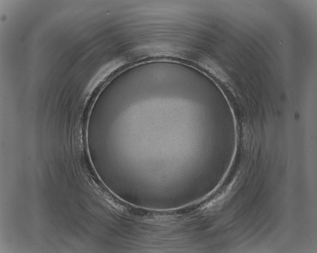 X0000062910782200601181218