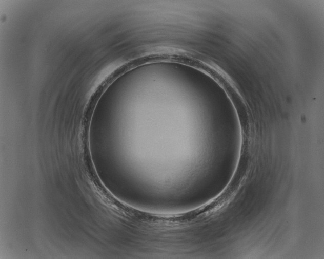 X0000062910783200601181218