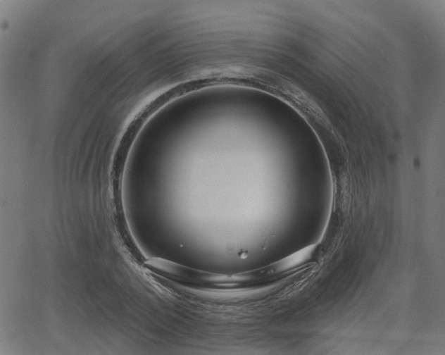 X0000062910784200601181218