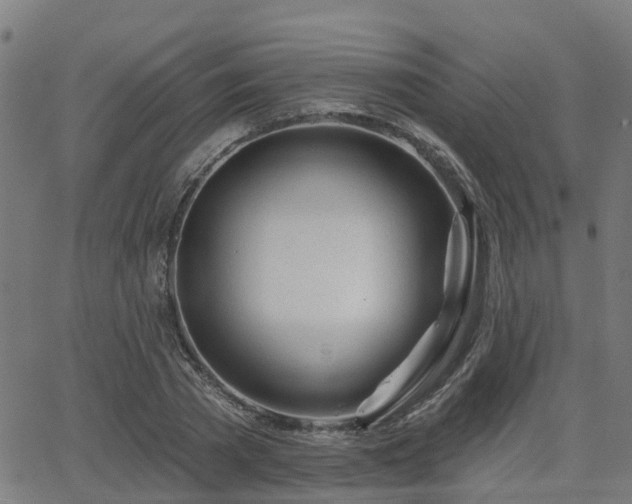 X0000062910785200601181218