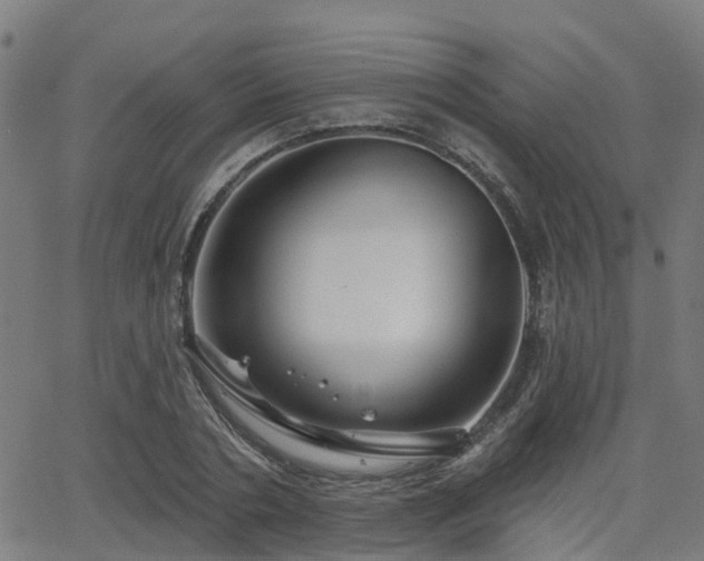 X0000062910786200601181218