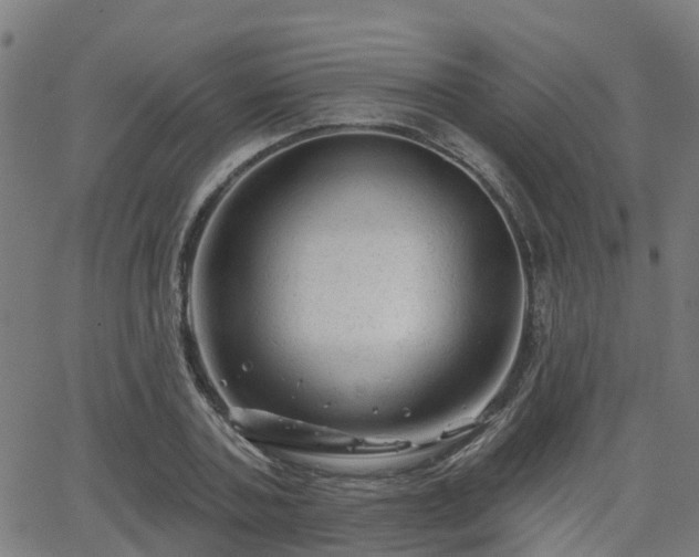 X0000062910787200601181218