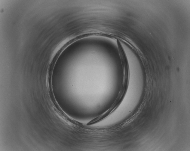 X0000062910788200601181218