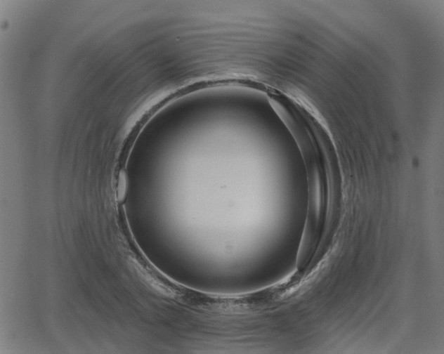 X0000062910789200601181218