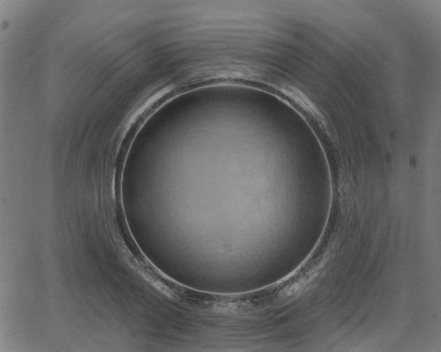 X0000062910790200601181218