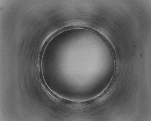 X0000062910791200601181218