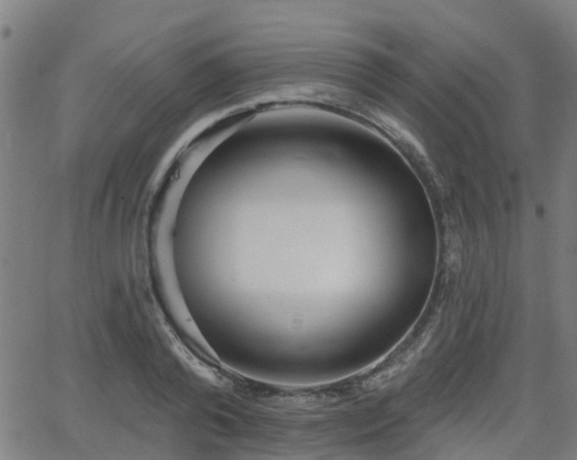 X0000062910792200601181218