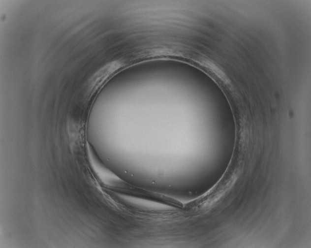 X0000062910793200601181218