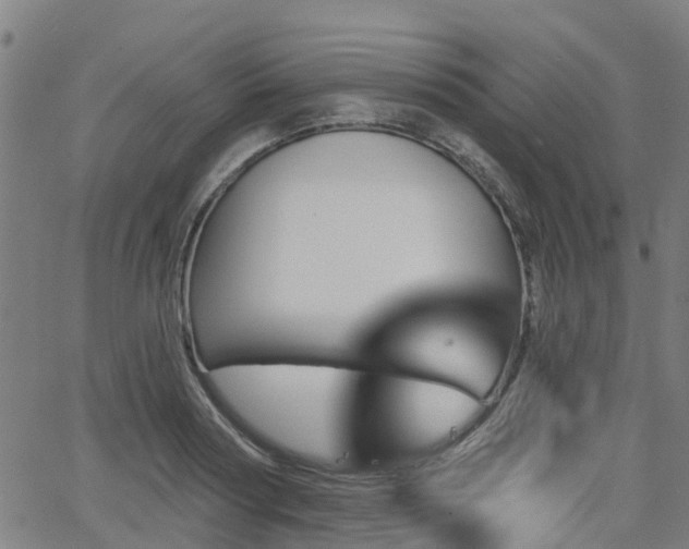 X0000062910794200601181218