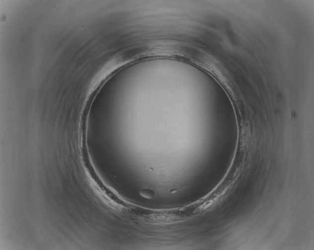 X0000062910795200601181218