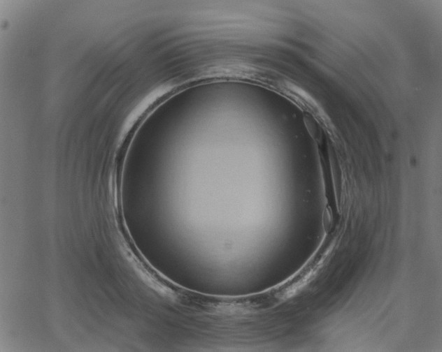 X0000062910796200601181218