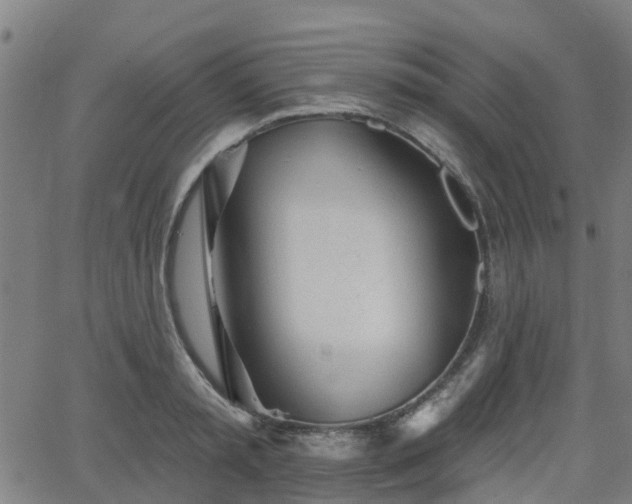 X0000062910797200601181218