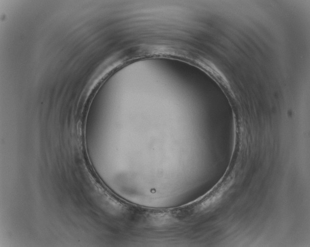 X0000062910798200601181218