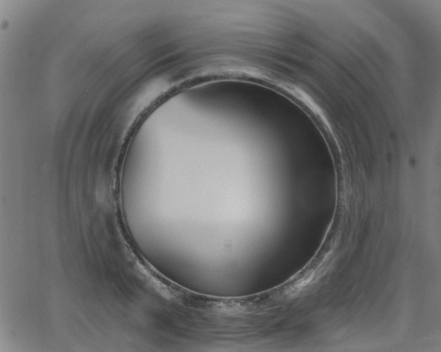 X0000062910799200601181218