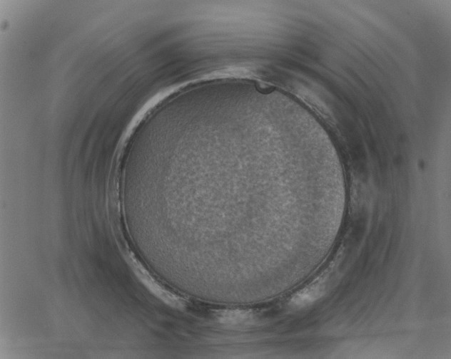 X0000062910800200601181218