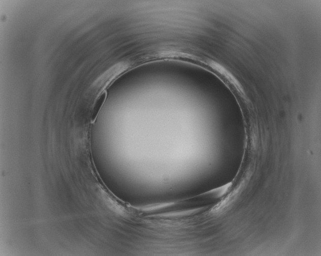 X0000062910801200601181218