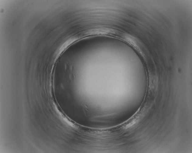 X0000062910802200601181218