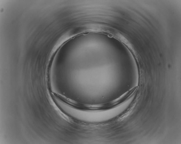 X0000062910803200601181218