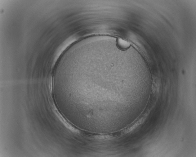 X0000062910804200601181218