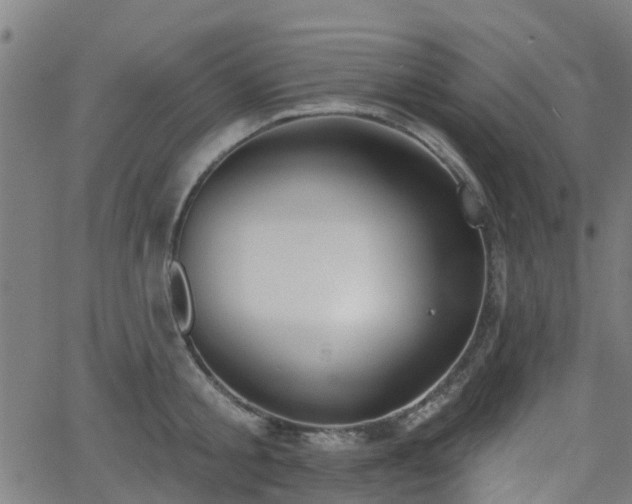 X0000062910805200601181218