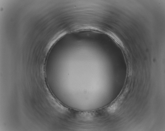 X0000062910806200601181218