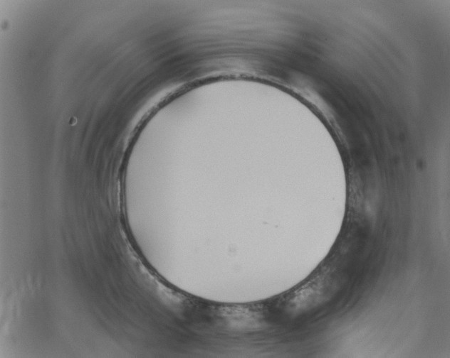 X0000062910807200601181218