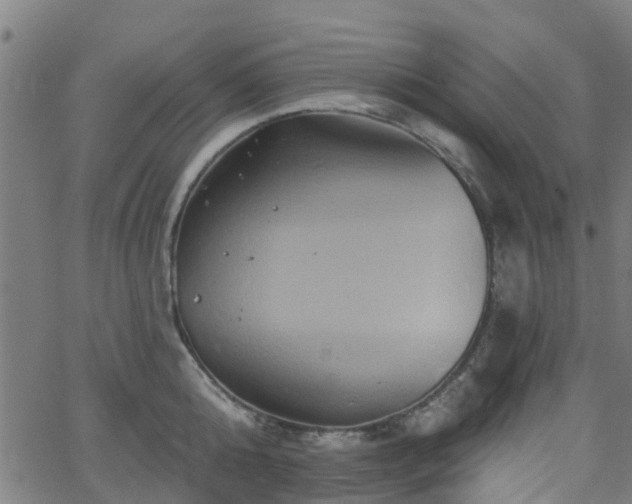 X0000062910808200601181218