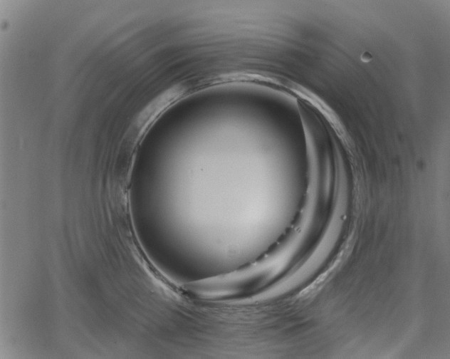 X0000062910809200601181218