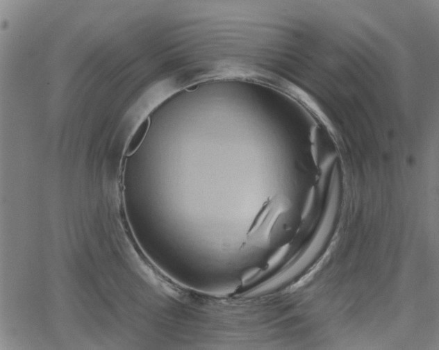 X0000062910810200601181218