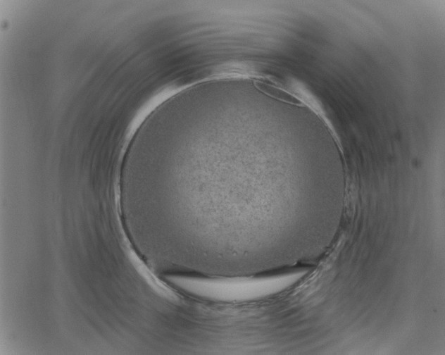 X0000062910811200601181218