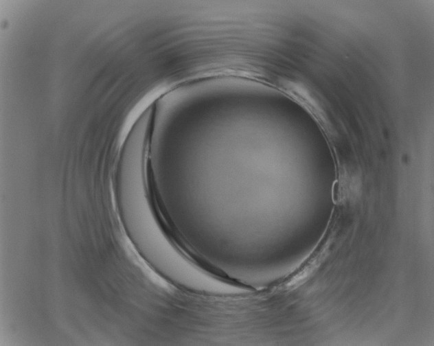 X0000062910812200601181218