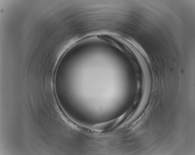 X0000062910813200601181218