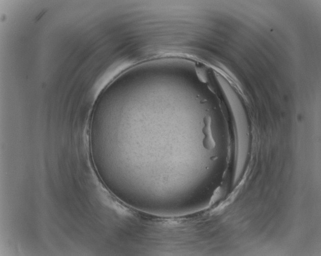 X0000062910814200601181218