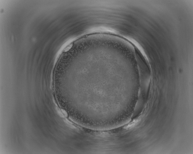 X0000062910815200601181218