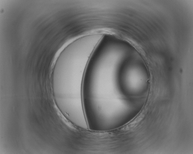 X0000062910816200601181218