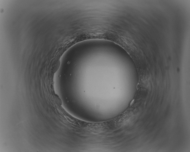 X0000062910817200601181217