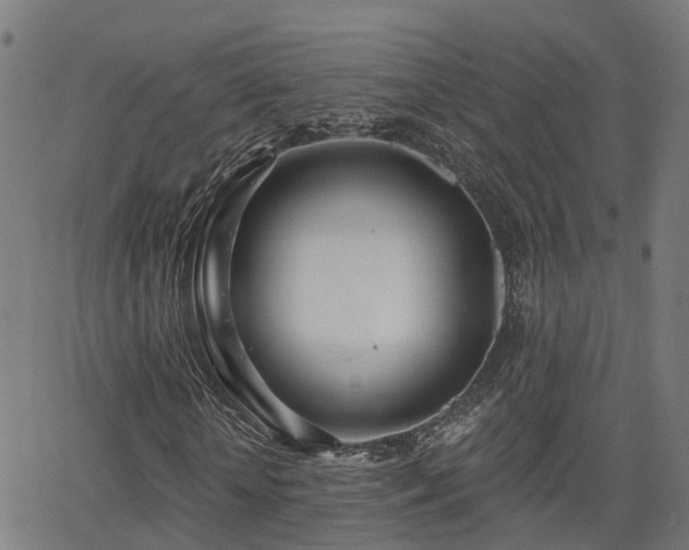 X0000062910818200601181217